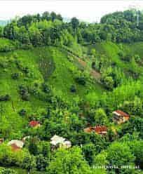 باربری تهران به لاهیجان