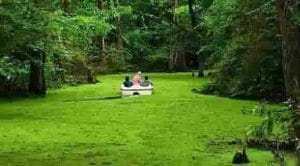 باربری تهران به رشت