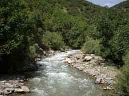 باربری تهران به پیرانشهر