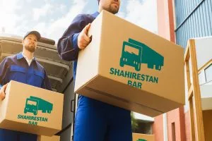 هدف این تصویر نشان دادن مهمترین فاکتور باربری اثاثیه منزل در غرب تهران است که واقعا هر کسی بدرد کارگری فنی اثاثیه نیست